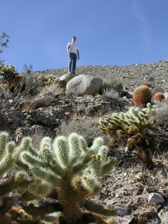Tom overlooking cacti in the Anza-Borrego desert.