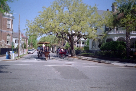 Carriages near White Point Gardens in Charleston, South Carolina.