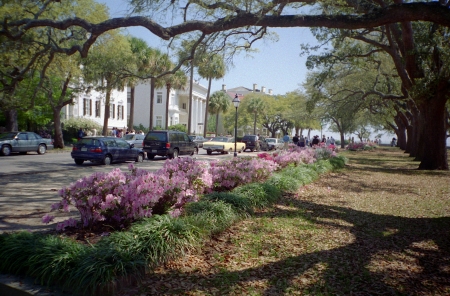 A spring day in Charleston, South Carolina
