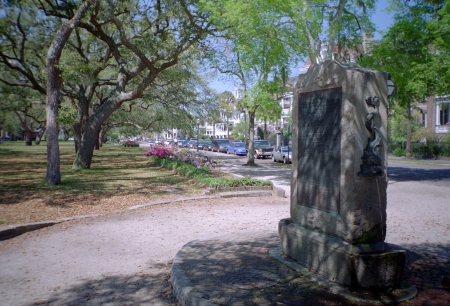 Live oaks and historical marker in Charleston, South Carolina
