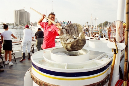 Stocking a deep sea charter vessel in San Diego, CA.