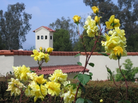 A Sunday afternoon in the rear gardens of the Inn at Rancho Santa Fe, California.
