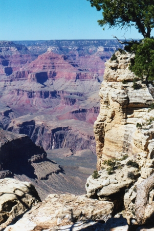 A view of the grand canyon from the southern rim
