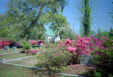 Gravestones and flowers in full bloom at St. Andrews Parish Church.