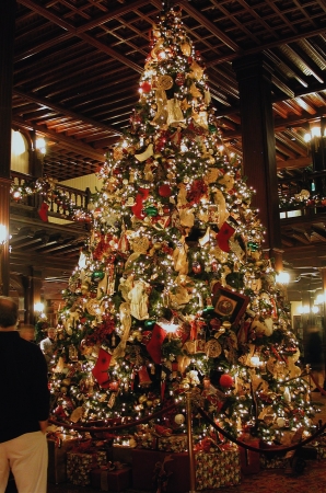 The 2004 Hotel Del Coronado Christmas Tree.