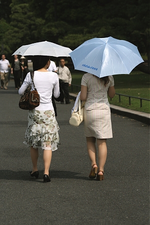 Two women walking with umbrellas in Tokyo, Japan.