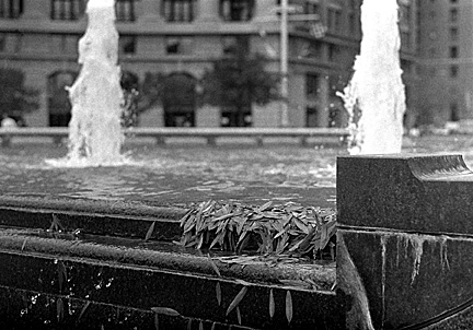 Leaves caught in the fountain at the US Navy Memorial in Washington D.C.