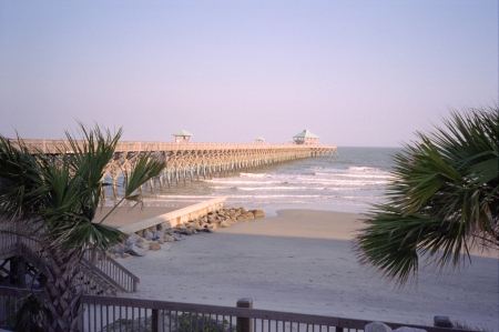 The pier and palms at Folly Beach in Charleston, SC