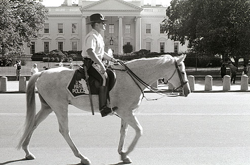 A mounted U.S. Park Ranger riding a horse on the North side of the White House in Washington, D.C.